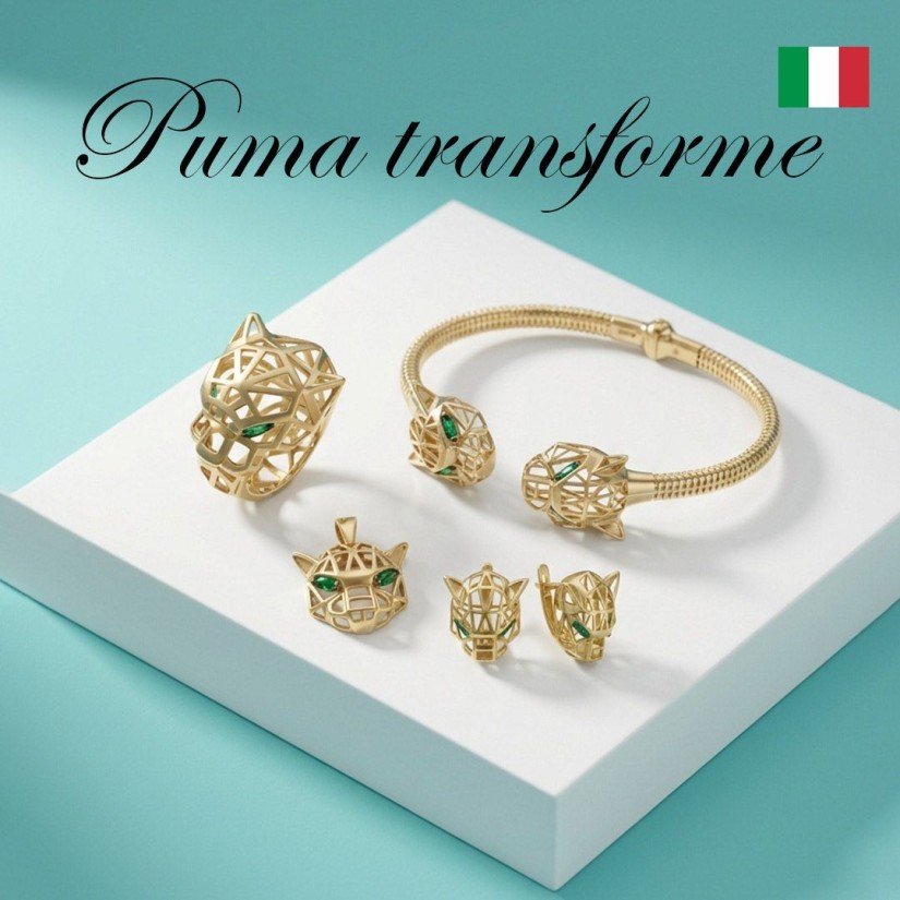 Puma transforme